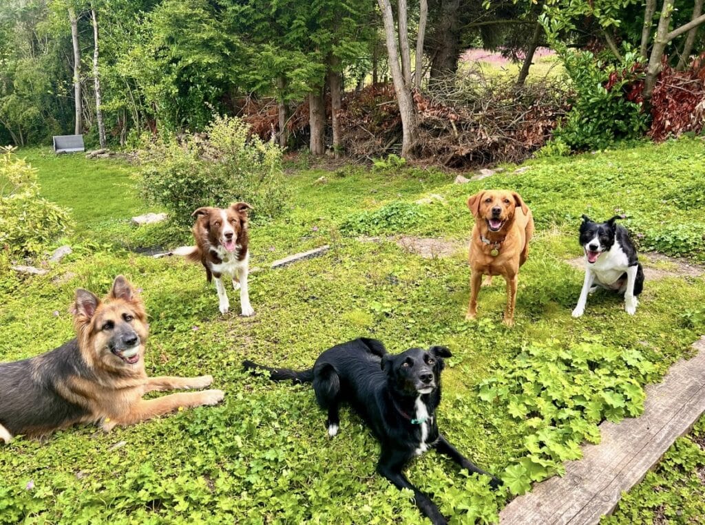 Berrys Pet Services HQ